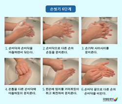 손씻기 6단계