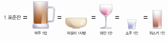 표준잔의 양